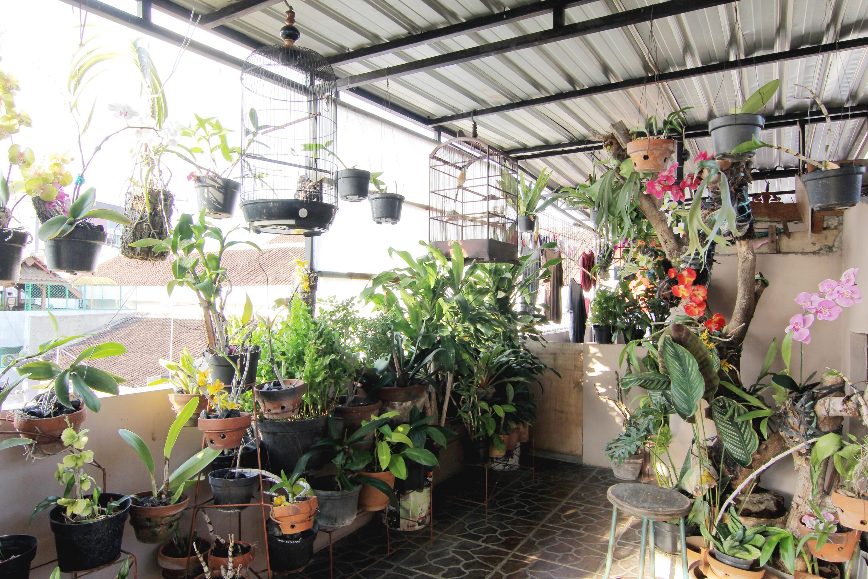 Wanderlust Homestay Yogyakarta Exterior foto